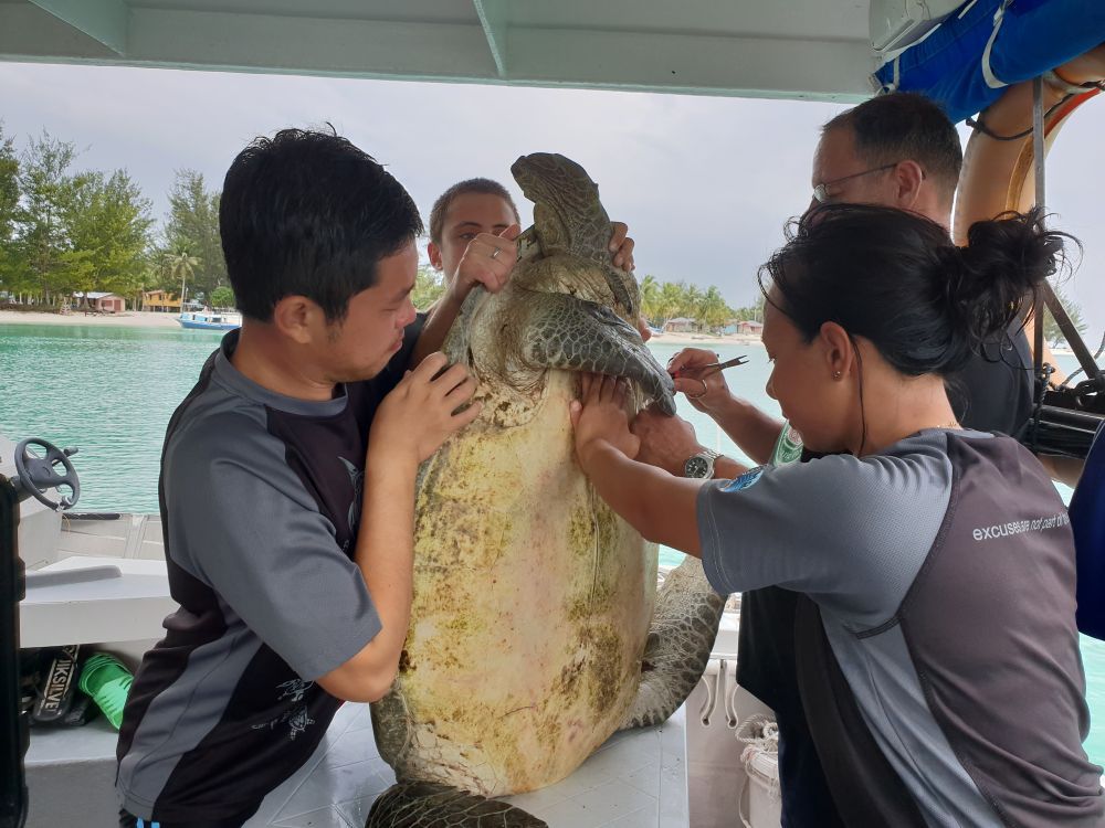 Marine Research Foundation : Marine ecosystem conservation