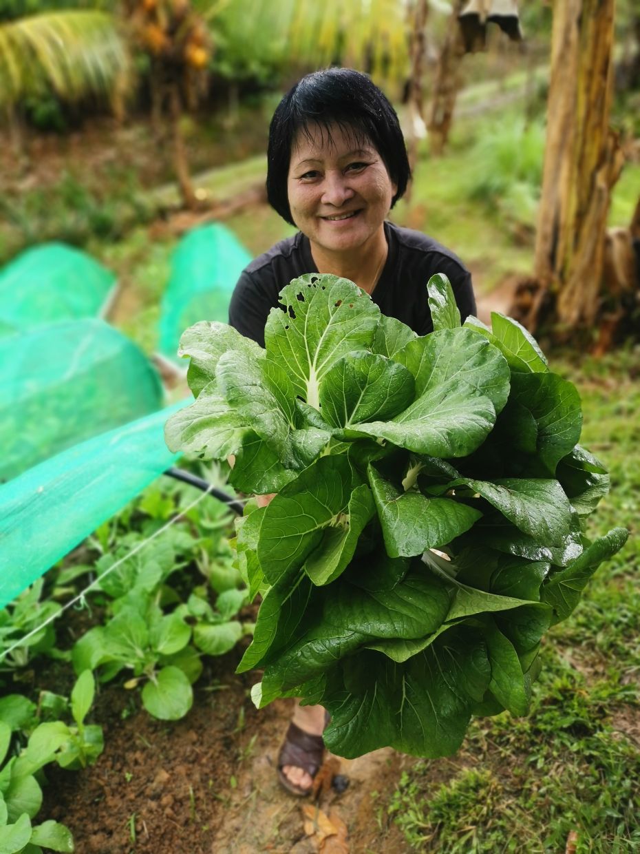 Hopes Malaysia Welfare Association : Sustainable farming